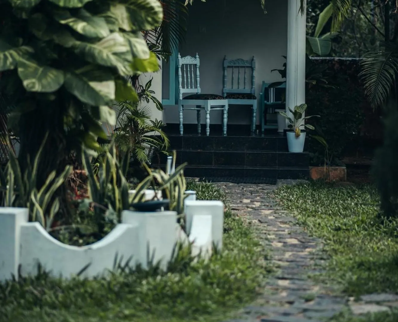 Paddle Cult Surf & Yoga Hotel Varkala India