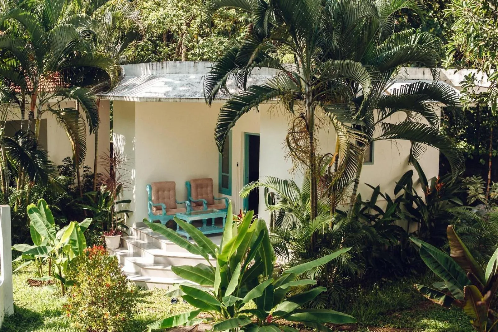 Paddle Cult Surf & Yoga Hotel Varkala
