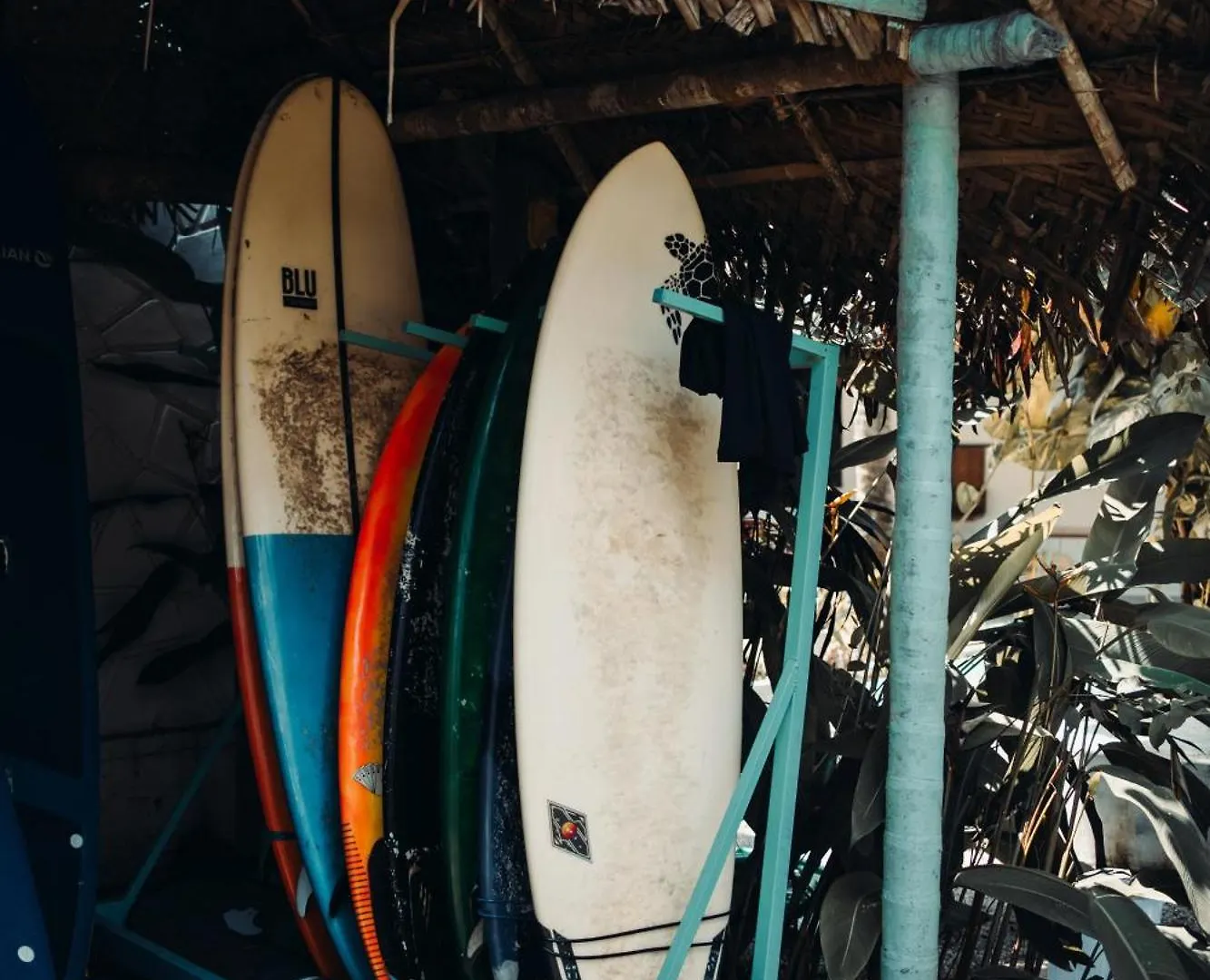 Paddle Cult Surf & Yoga Hotel Varkala