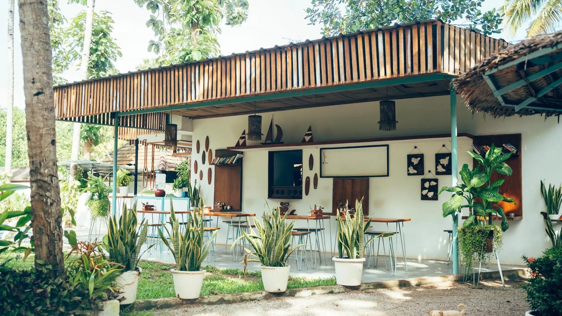 Paddle Cult Surf & Yoga Hotel Varkala India