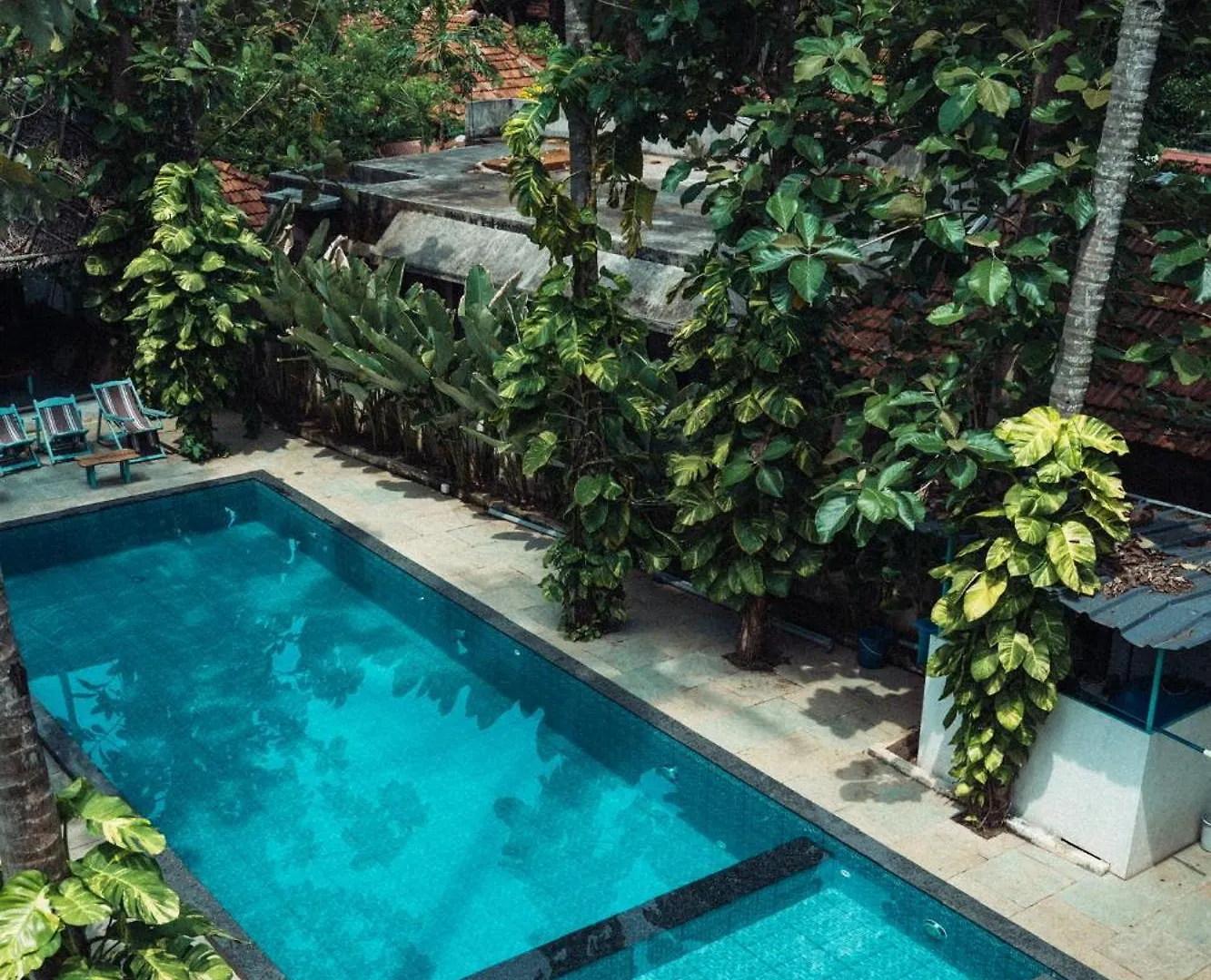 Paddle Cult Surf & Yoga Hotel Varkala India